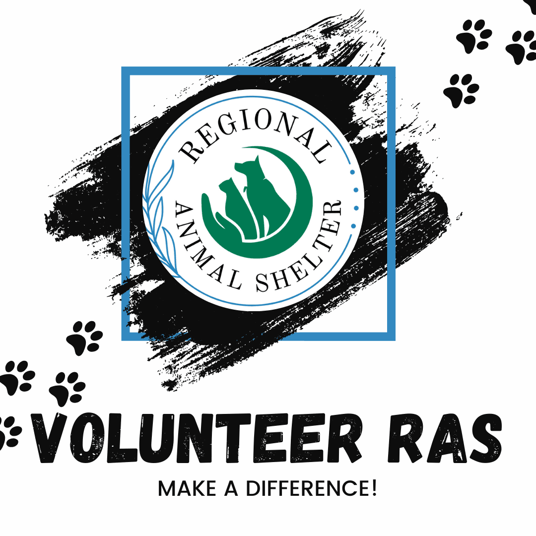 Volunteer RAS