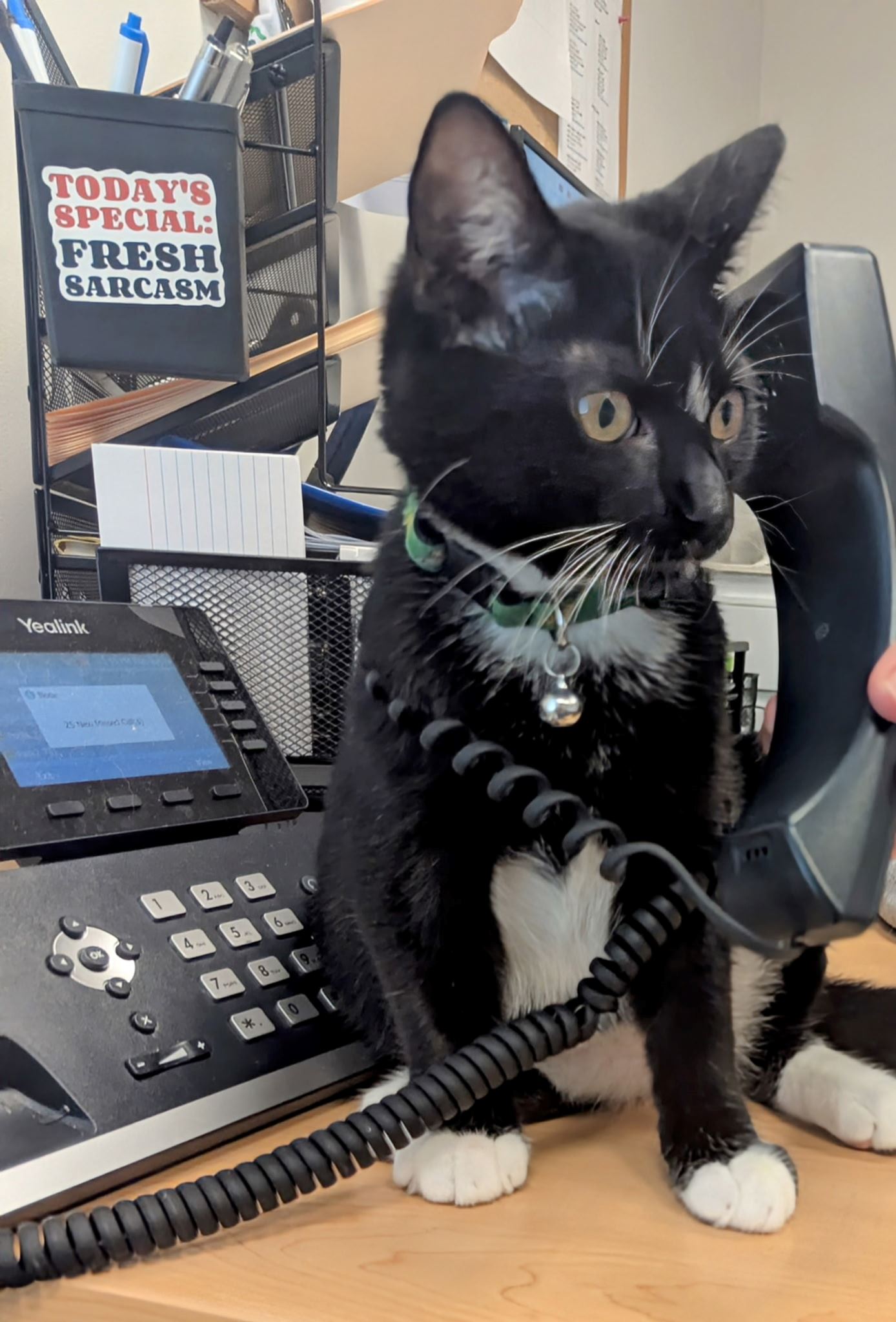 512655184_1125443109616798_4364140508468537646_n