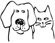Dog and Cat